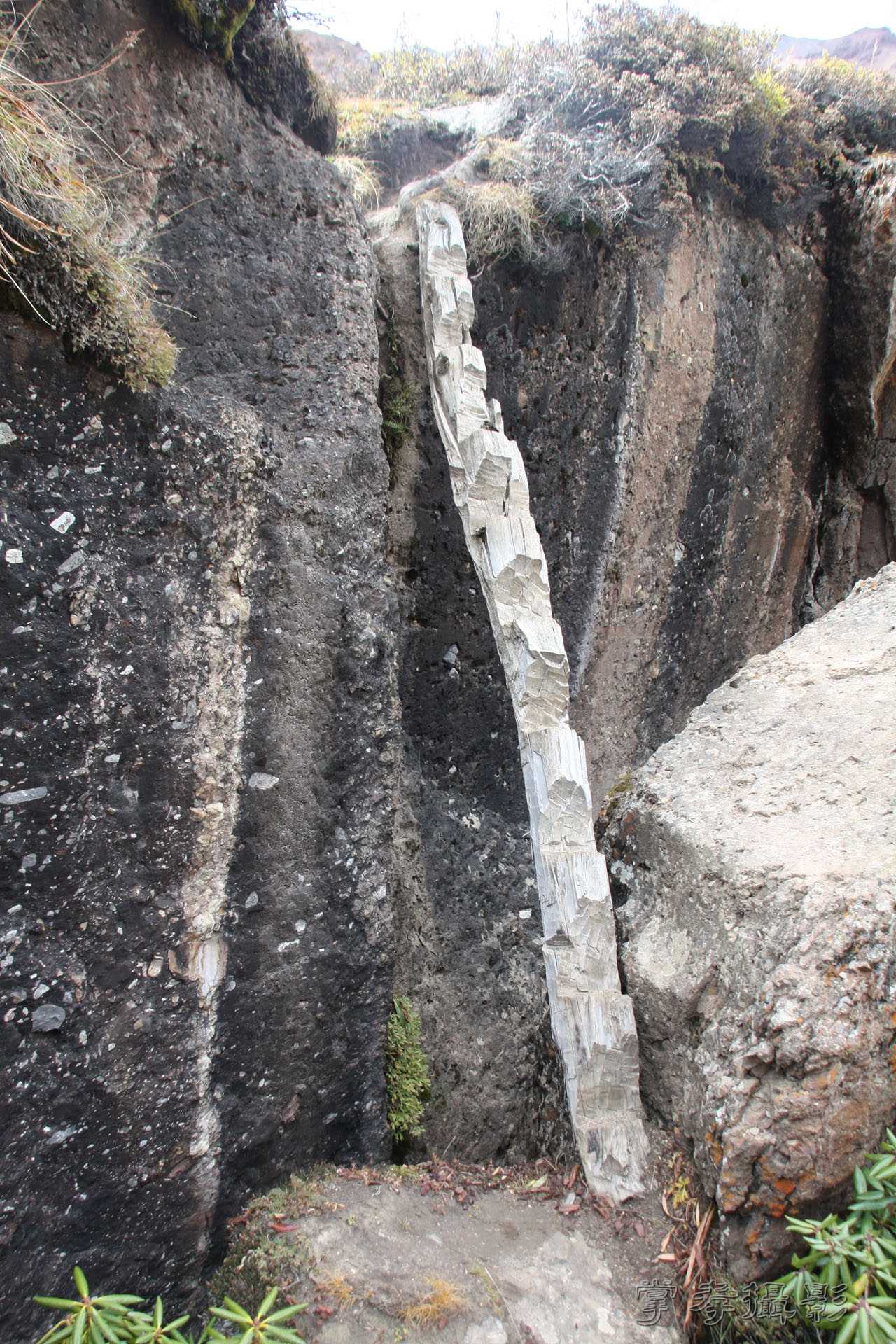 ͽ����װ��Խ���ɽ�� (289).jpg