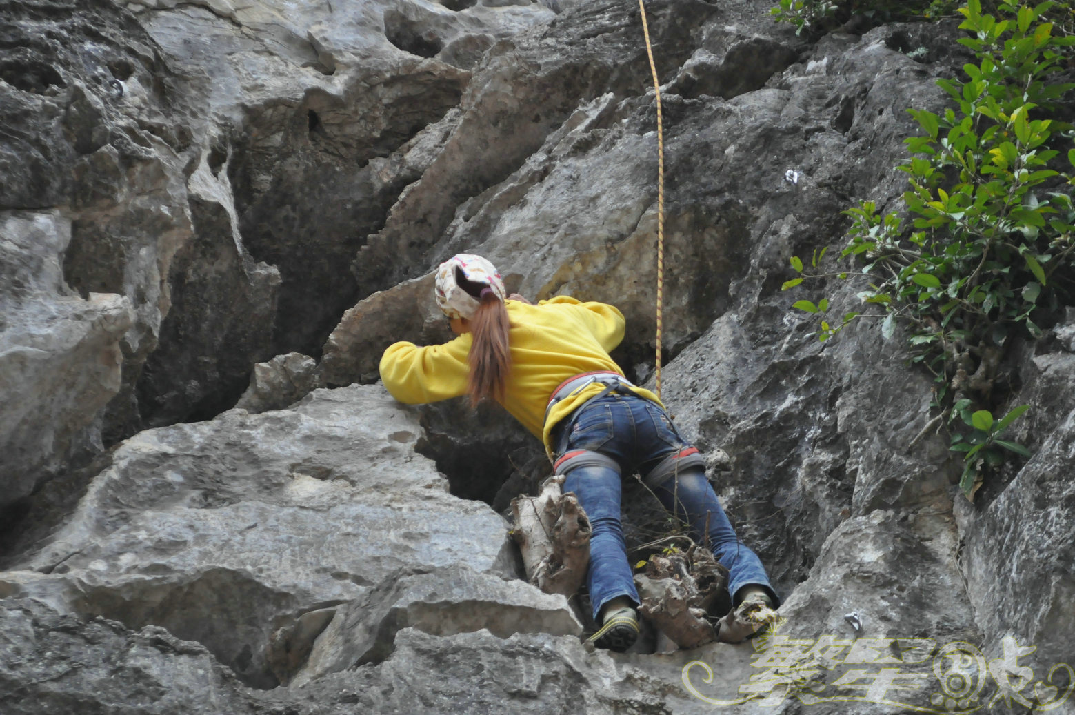 2015��1��24��Ӣ������ (36)_1.jpg