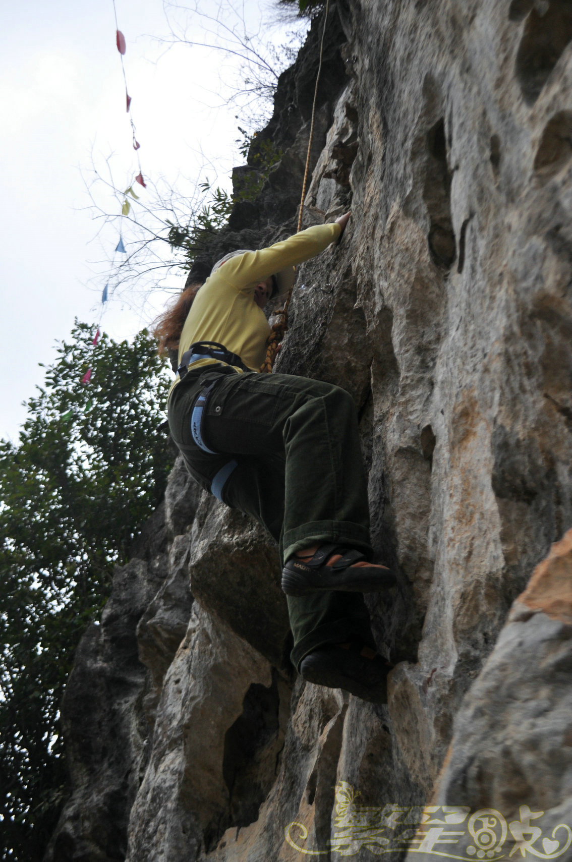 2015��1��24��Ӣ������ (50)_1.jpg