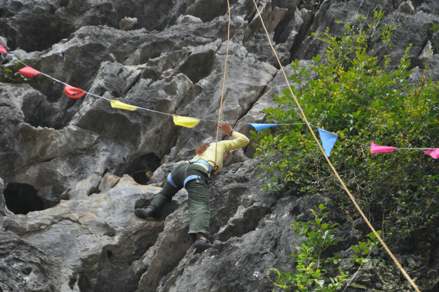 2015��1��24��Ӣ������ (53)_1.jpg