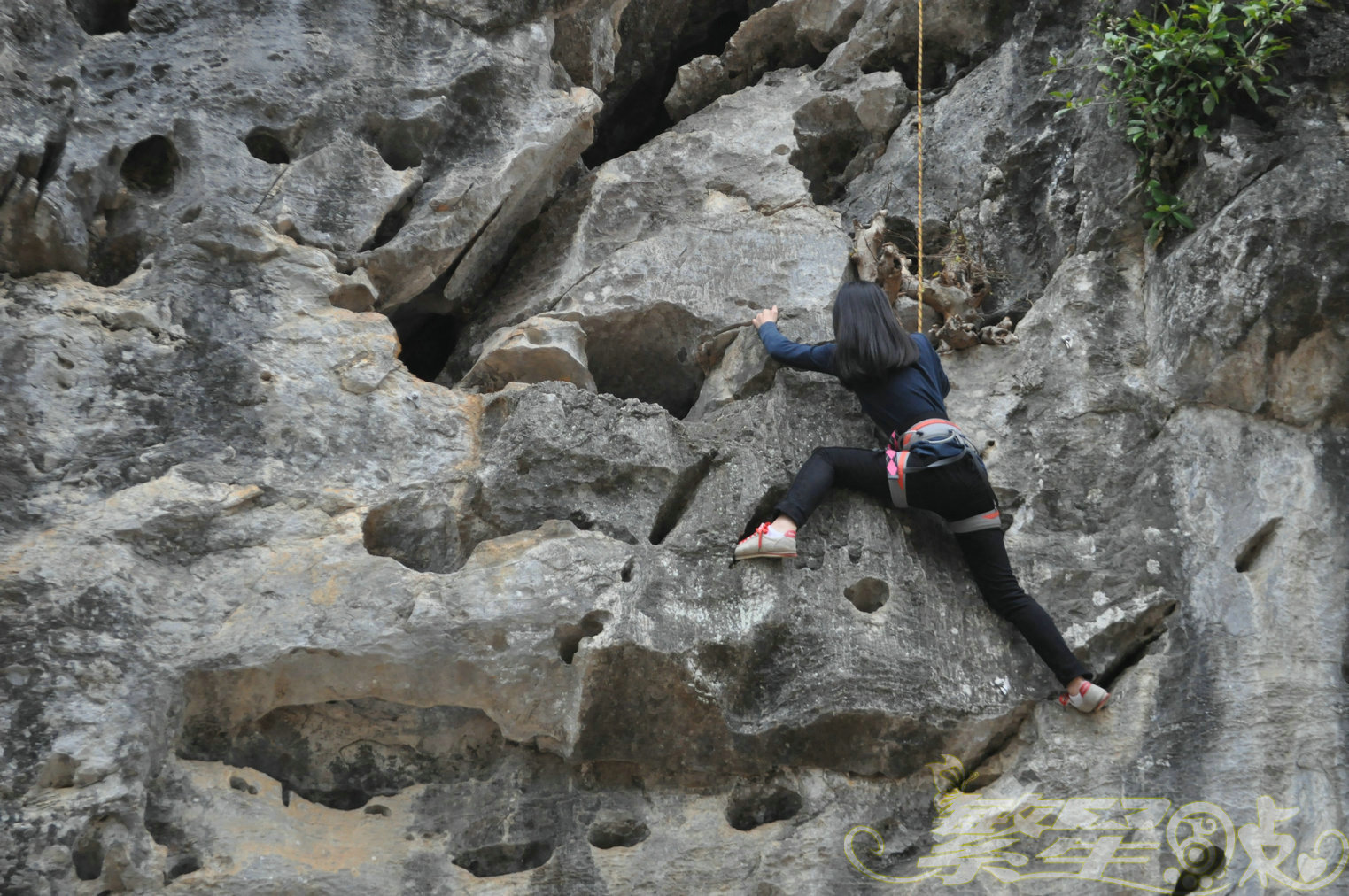 2015��1��24��Ӣ������ (64)_1.jpg