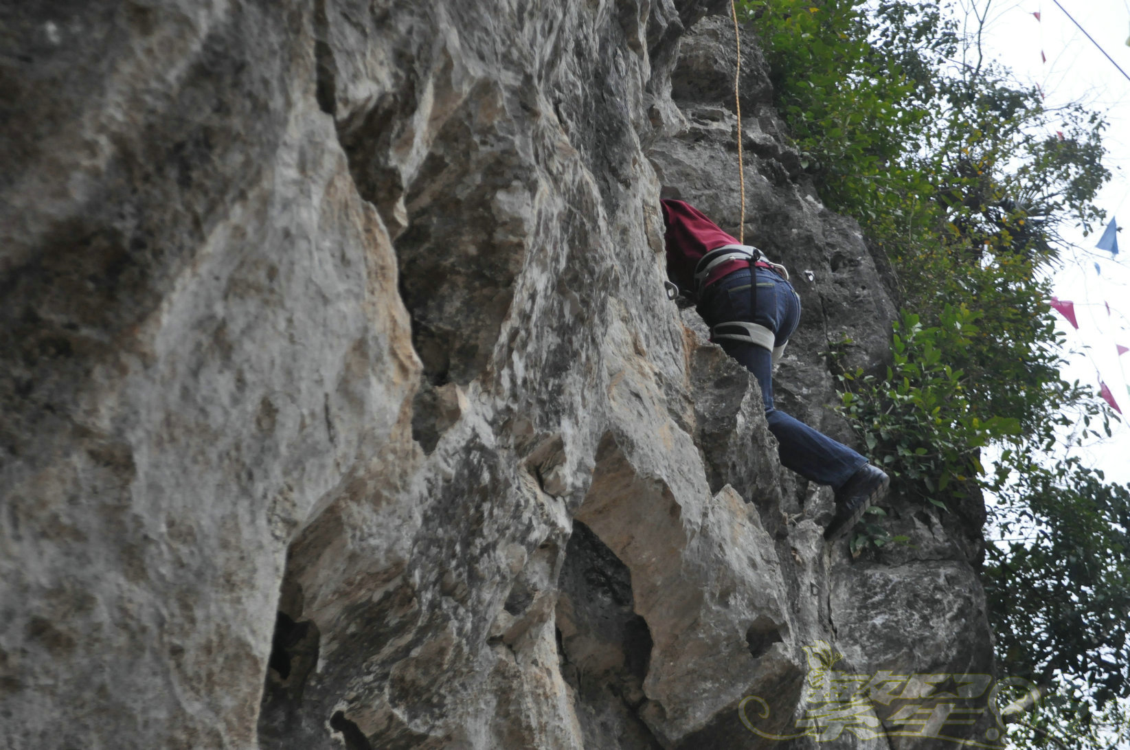 2015��1��24��Ӣ������ (74)_1.jpg