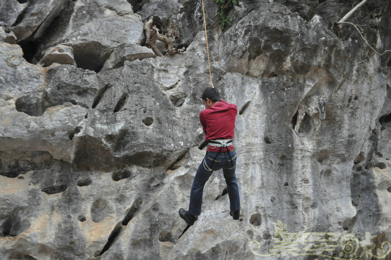 2015��1��24��Ӣ������ (84)_1.jpg