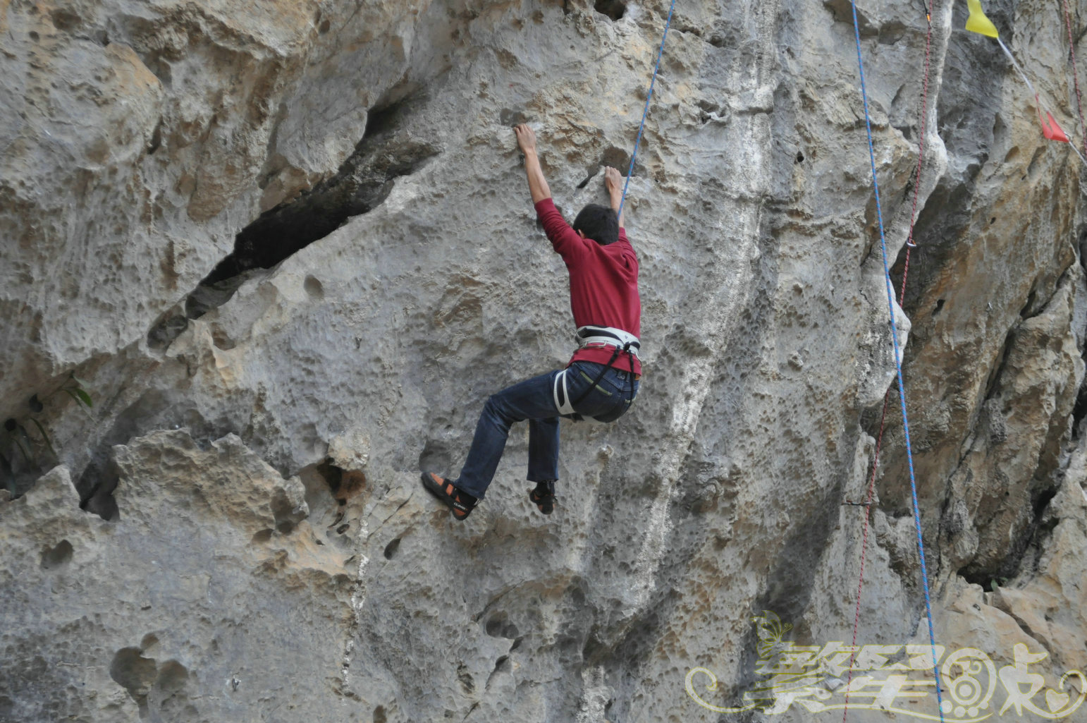 2015��1��24��Ӣ������ (161)_1.jpg