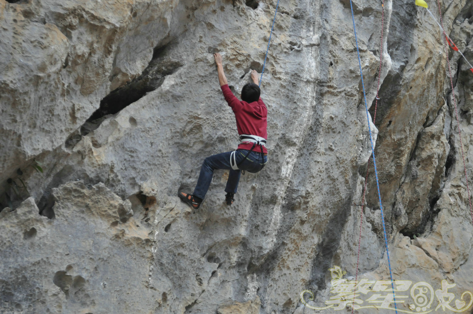 2015��1��24��Ӣ������ (162)_1.jpg