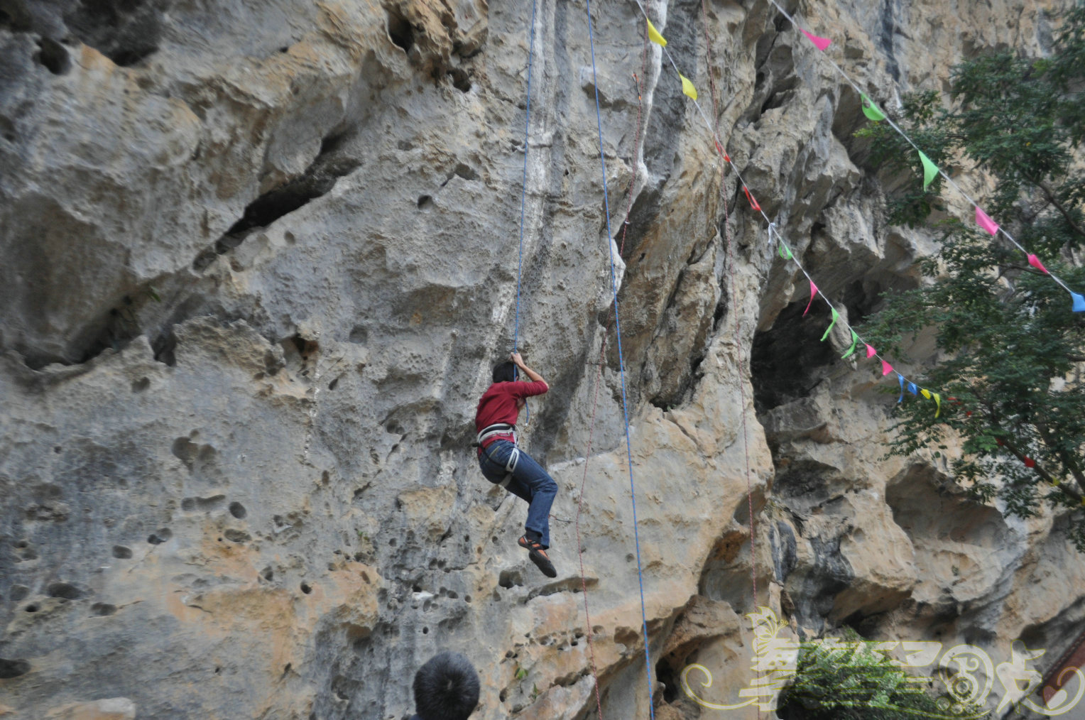 2015��1��24��Ӣ������ (163)_1.jpg