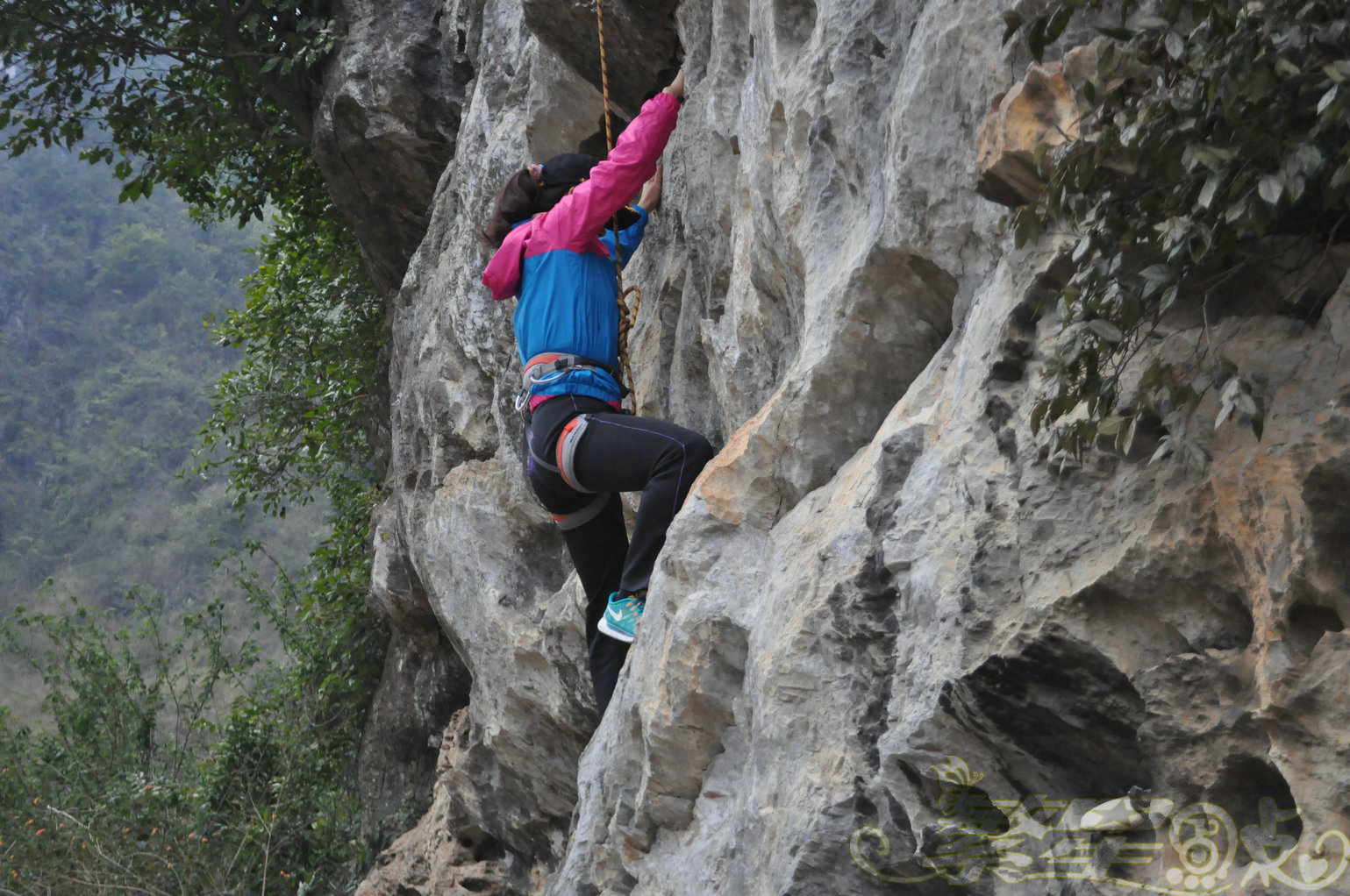 2015��1��24��Ӣ������ (121)_1.jpg