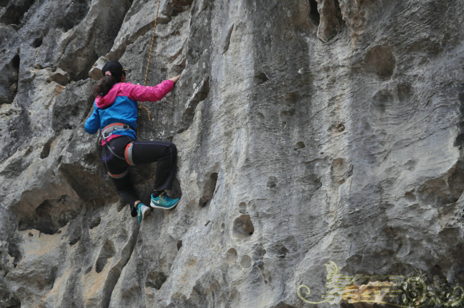 2015��1��24��Ӣ������ (124)_1.jpg