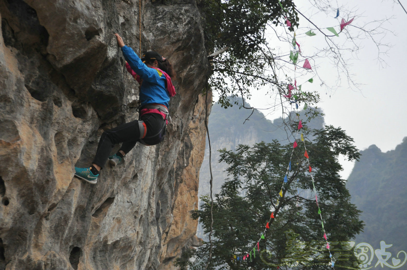 2015��1��24��Ӣ������ (126)_1.jpg