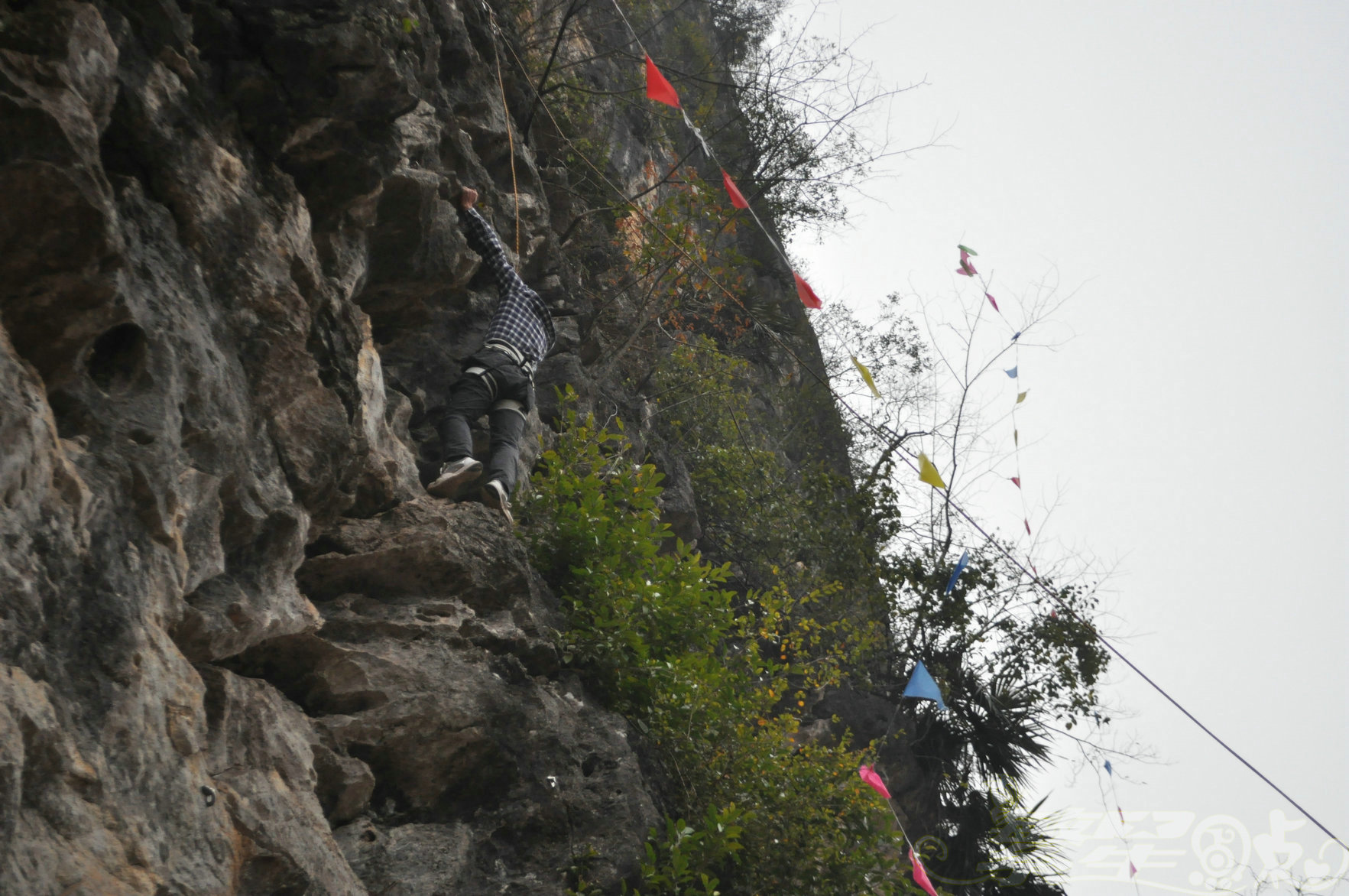 2015��1��24��Ӣ������ (141)_1.jpg