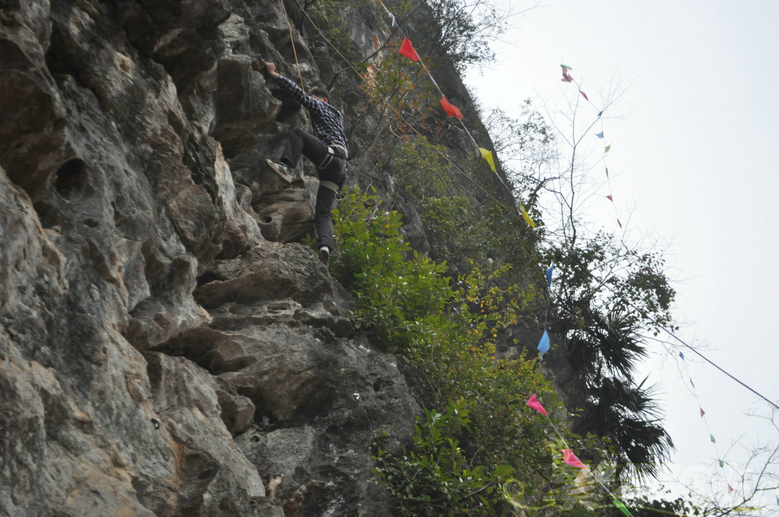 2015��1��24��Ӣ������ (142)_1.jpg