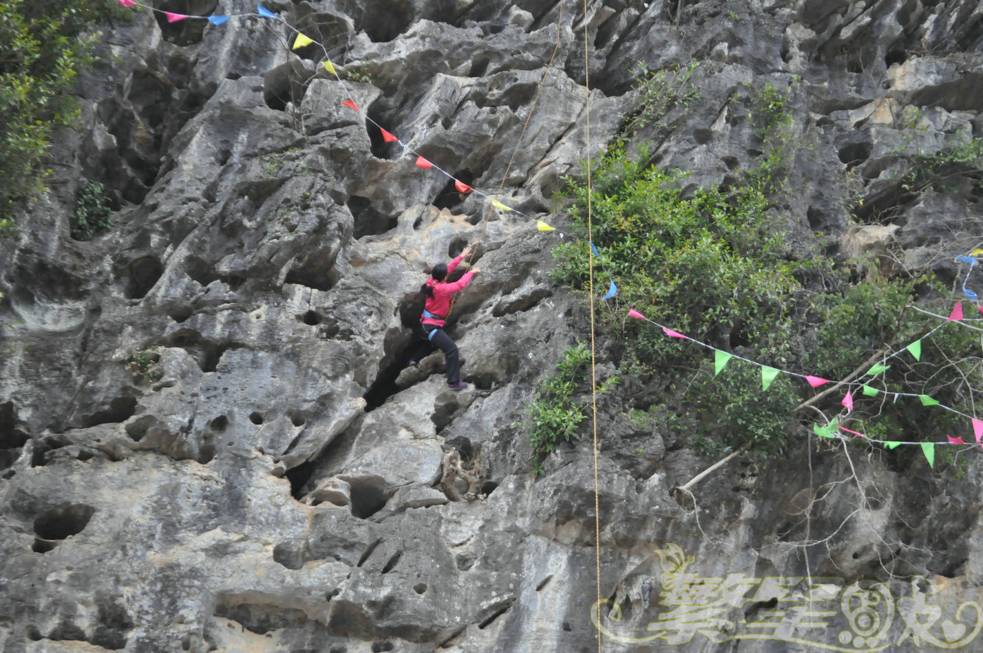 2015��1��24��Ӣ������ (100)_1.jpg