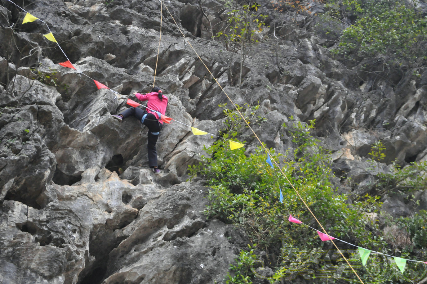 2015��1��24��Ӣ������ (102)_1.jpg