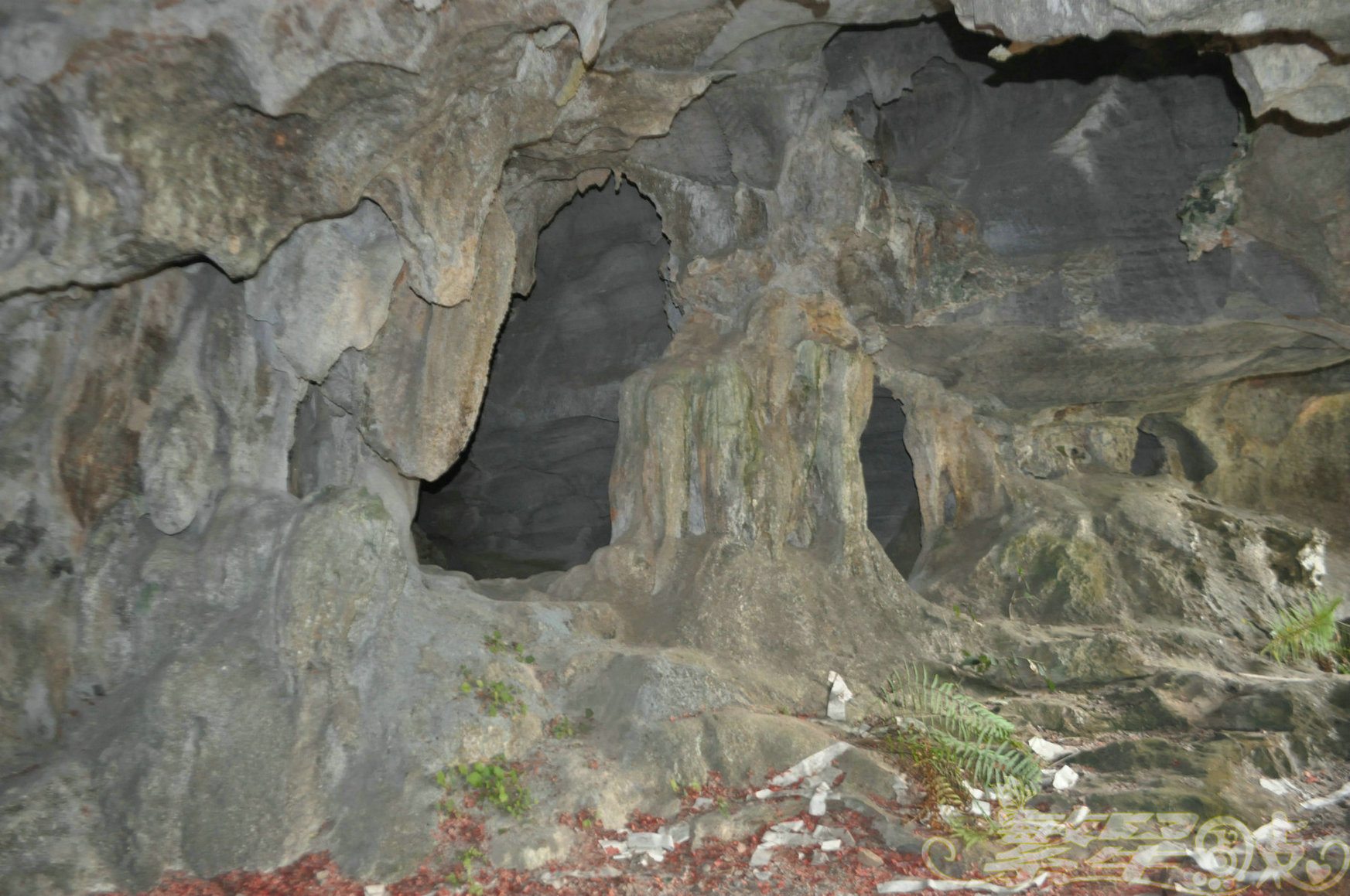 2015��1��24��Ӣ������ (167)_1.jpg