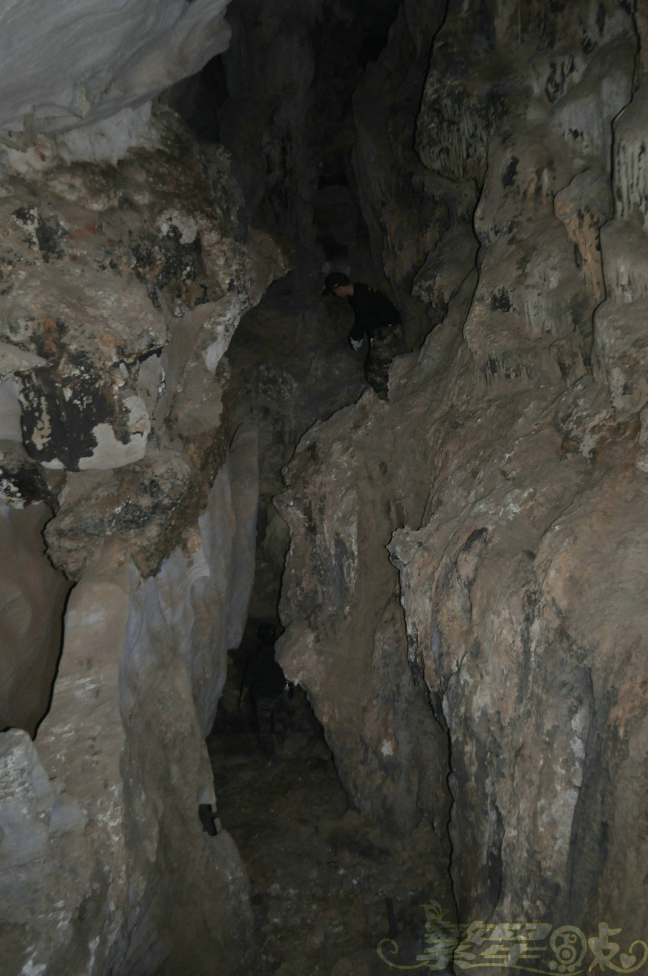 2015��1��24��Ӣ������ (174)_1.jpg