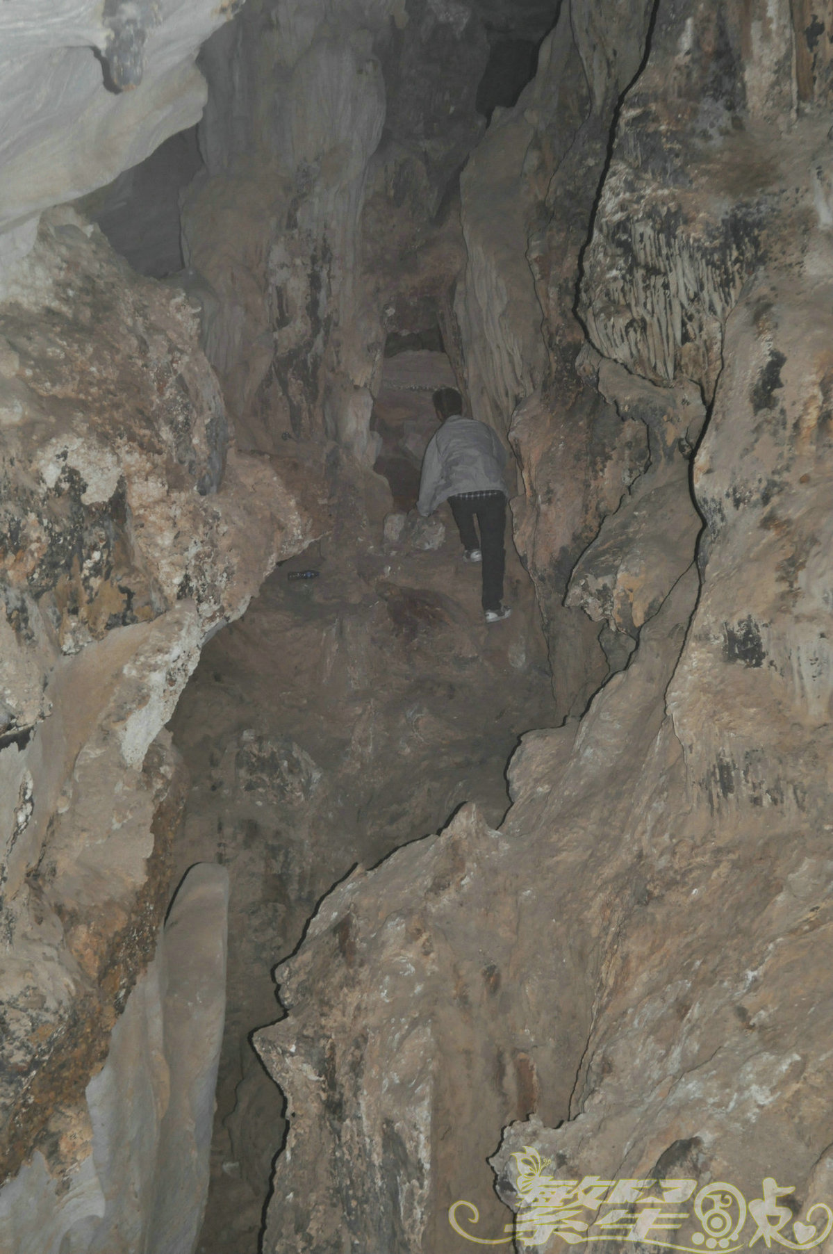 2015��1��24��Ӣ������ (176)_1.jpg