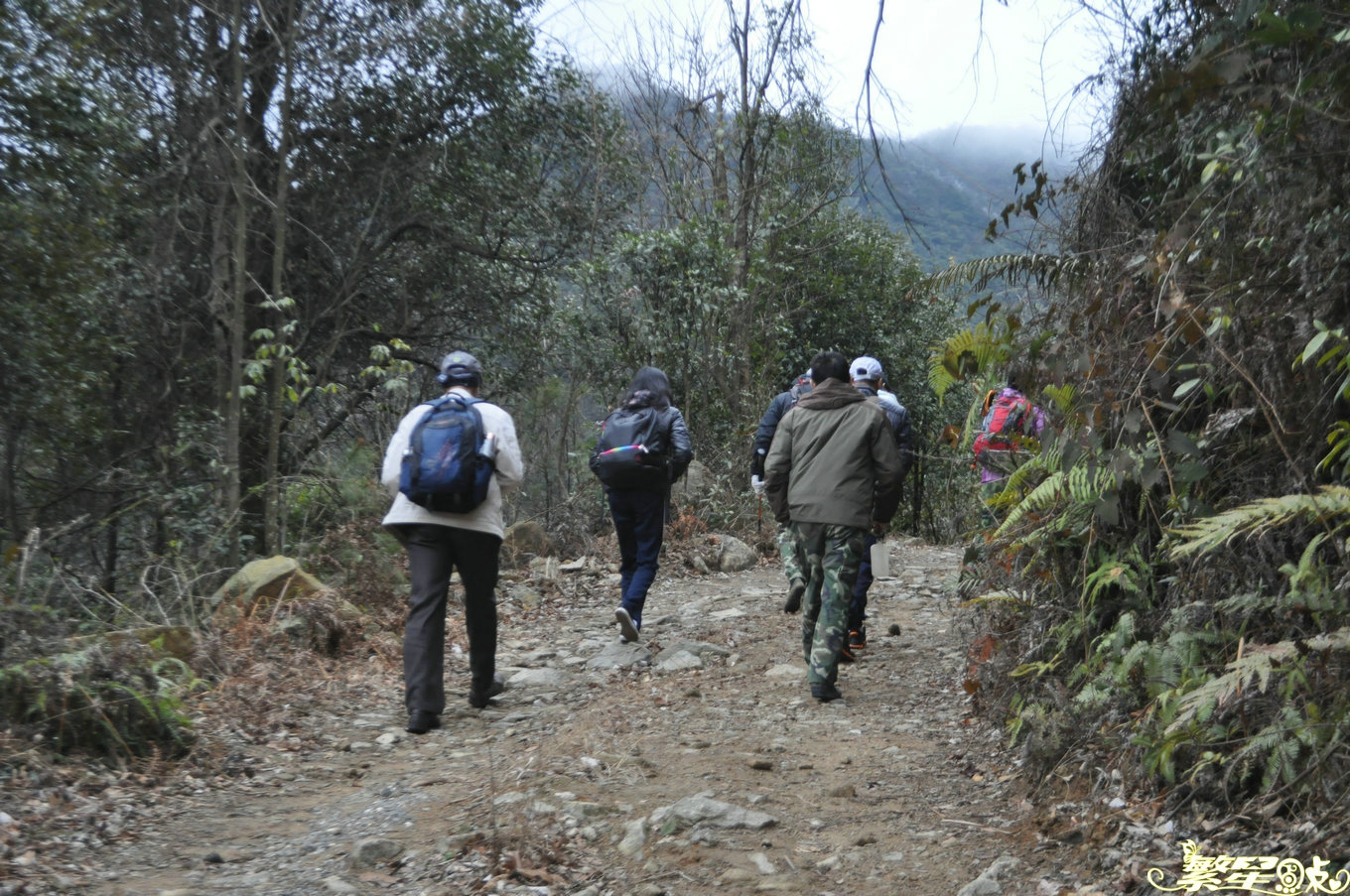 ����1 (1).jpg