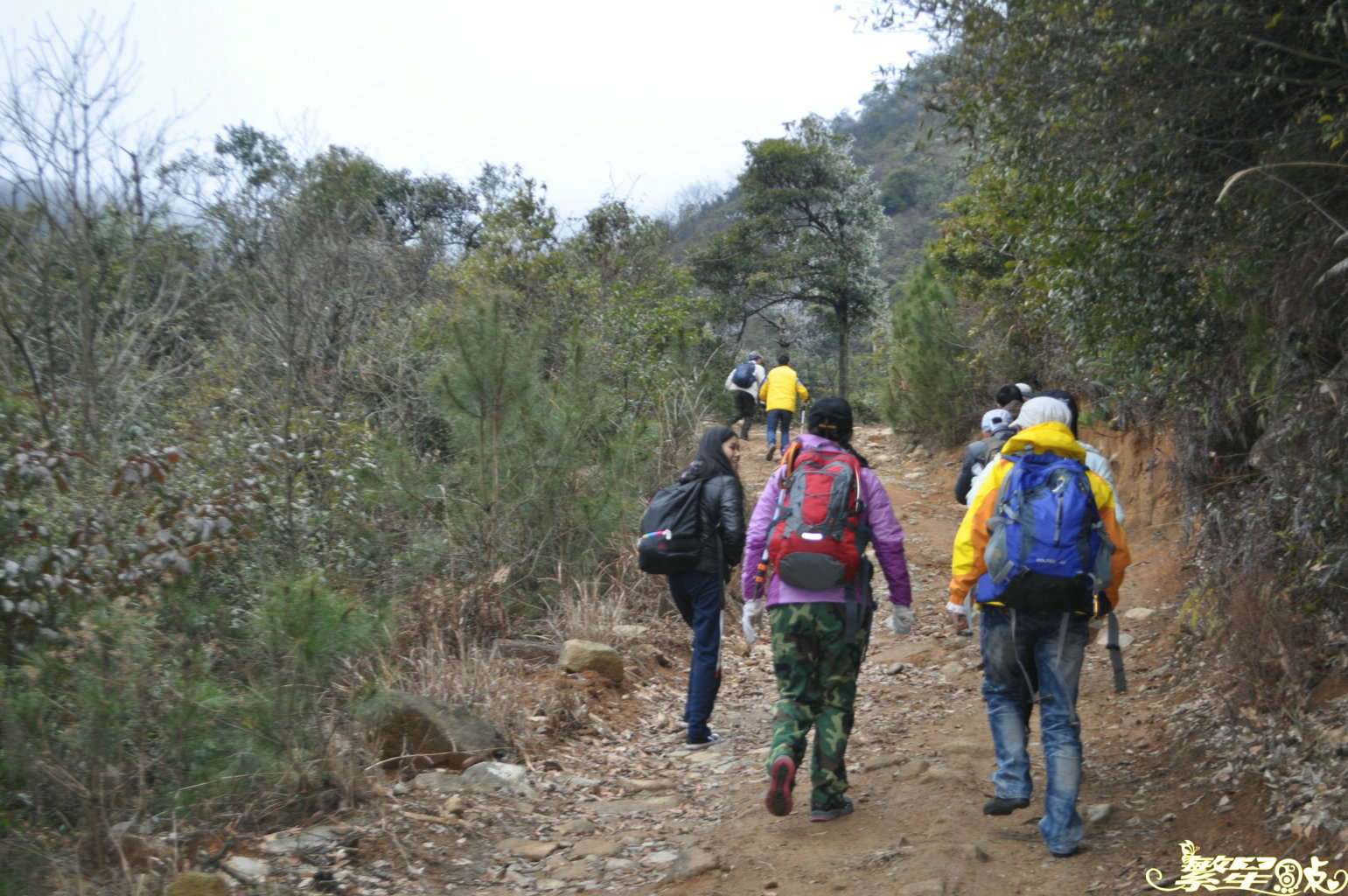 ����1 (2).jpg