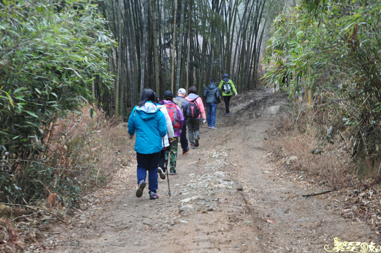 ����1 (3).jpg