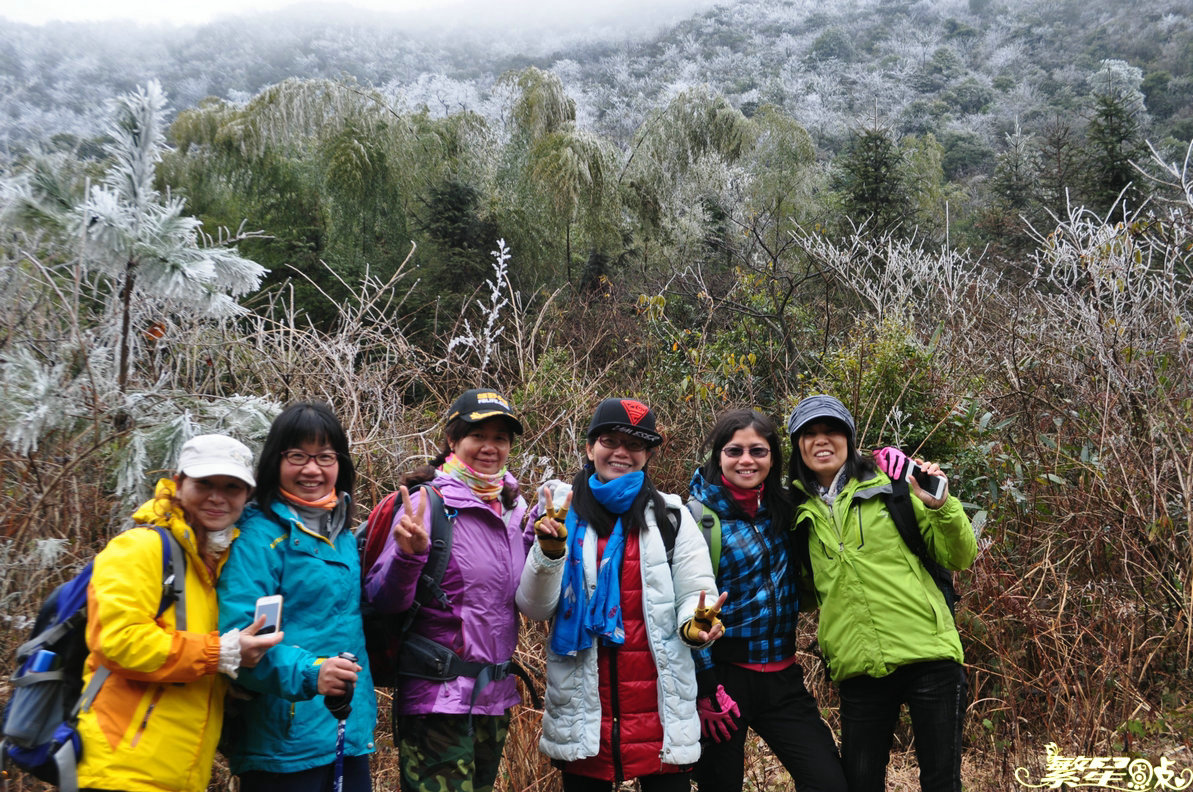 ����1 (5).jpg