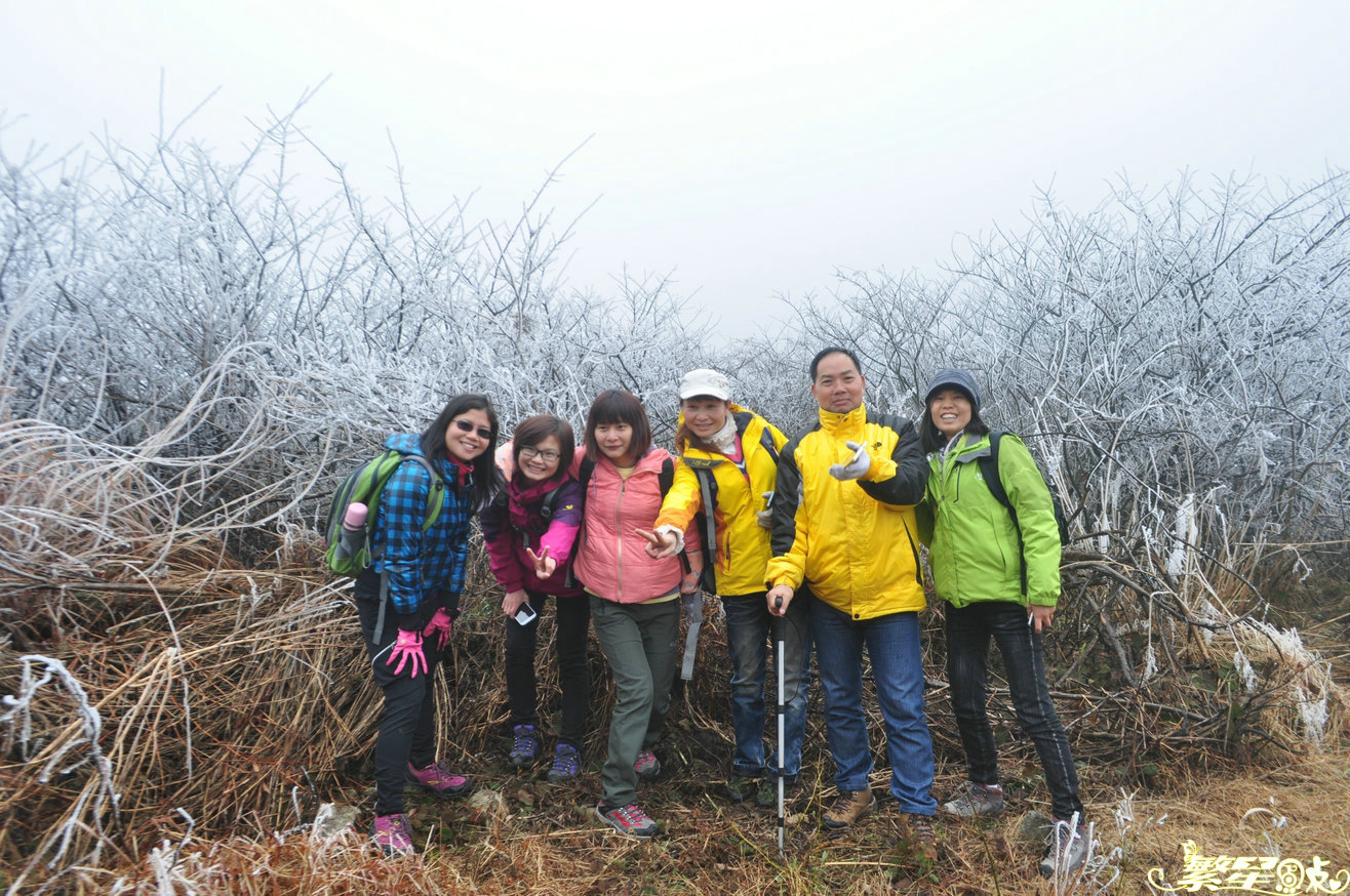 ����1 (10).jpg