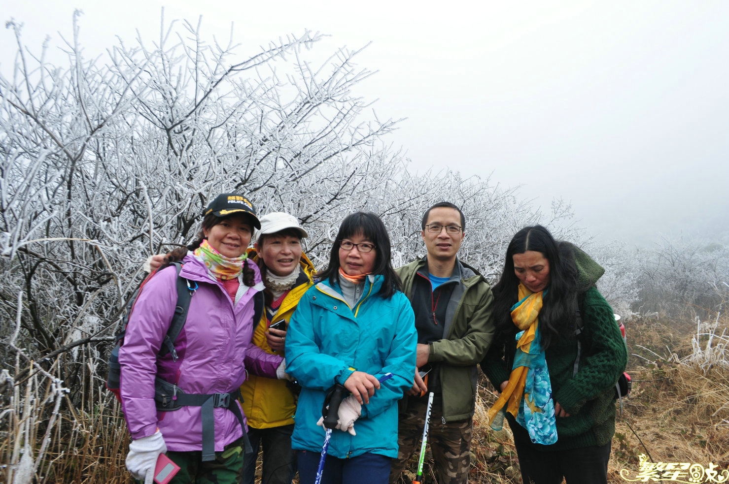 ����1 (11).jpg