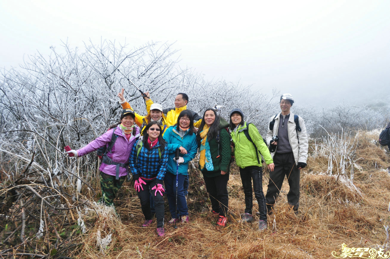 ����1 (12).jpg