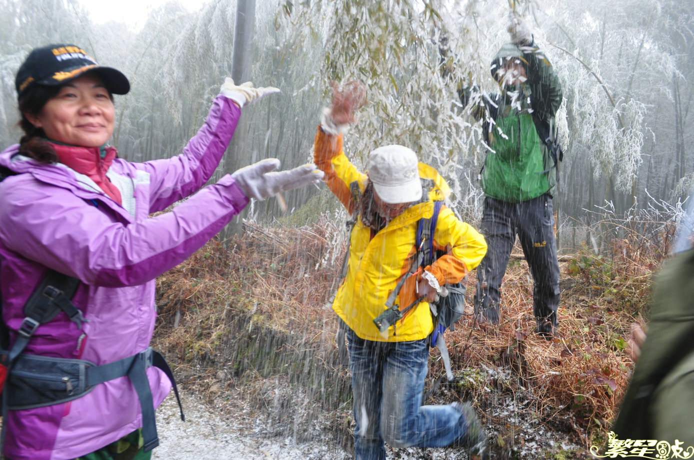 ����1 (15).jpg