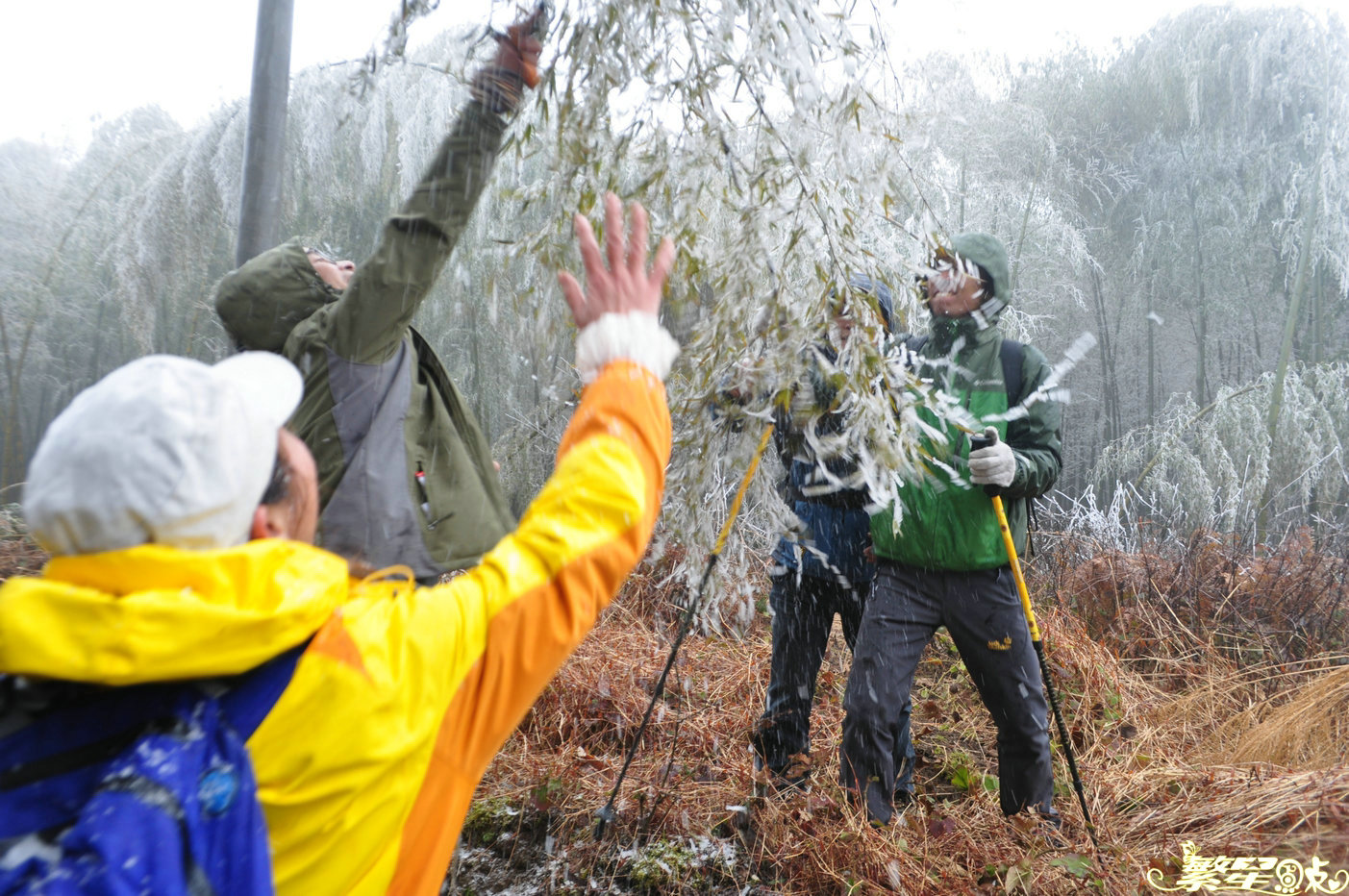 ����1 (17).jpg