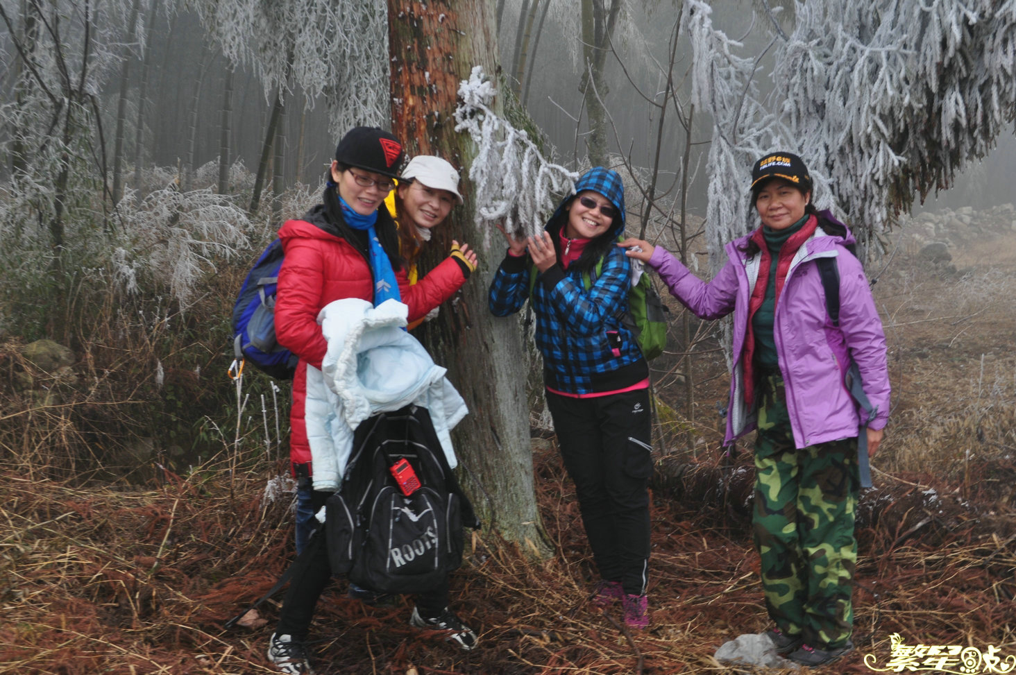 ����1 (22).jpg