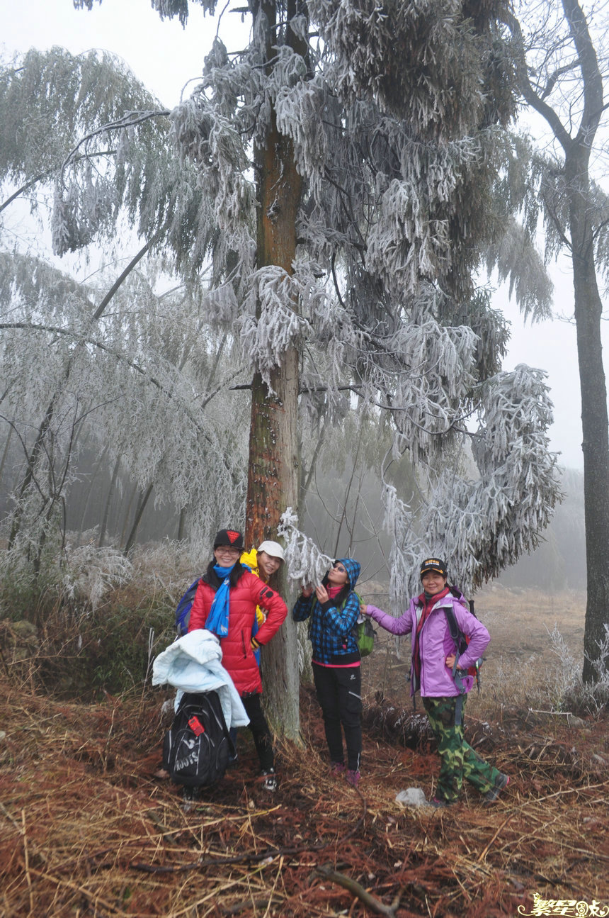 ����1 (23).jpg