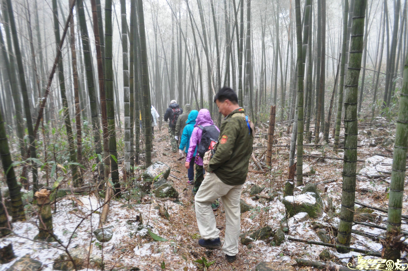 ����1 (26).jpg