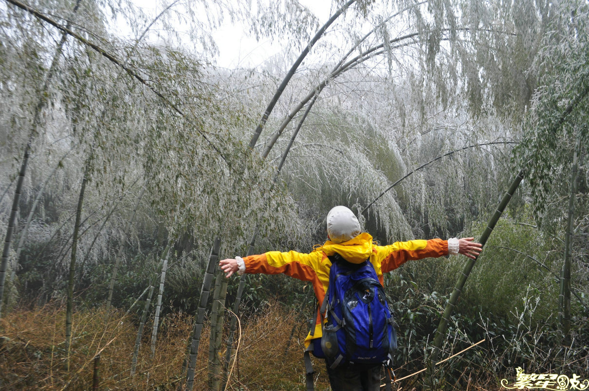 ����1 (27).jpg