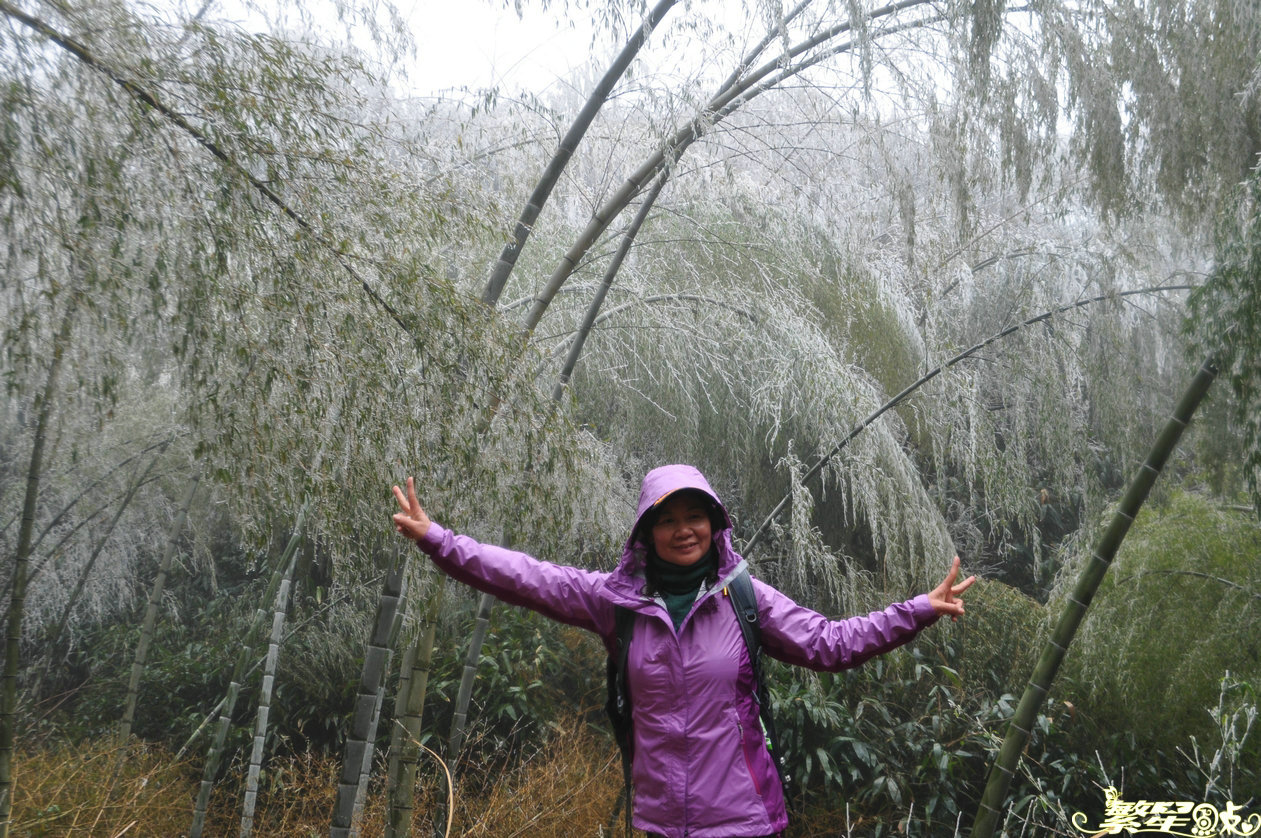 ����1 (28).jpg