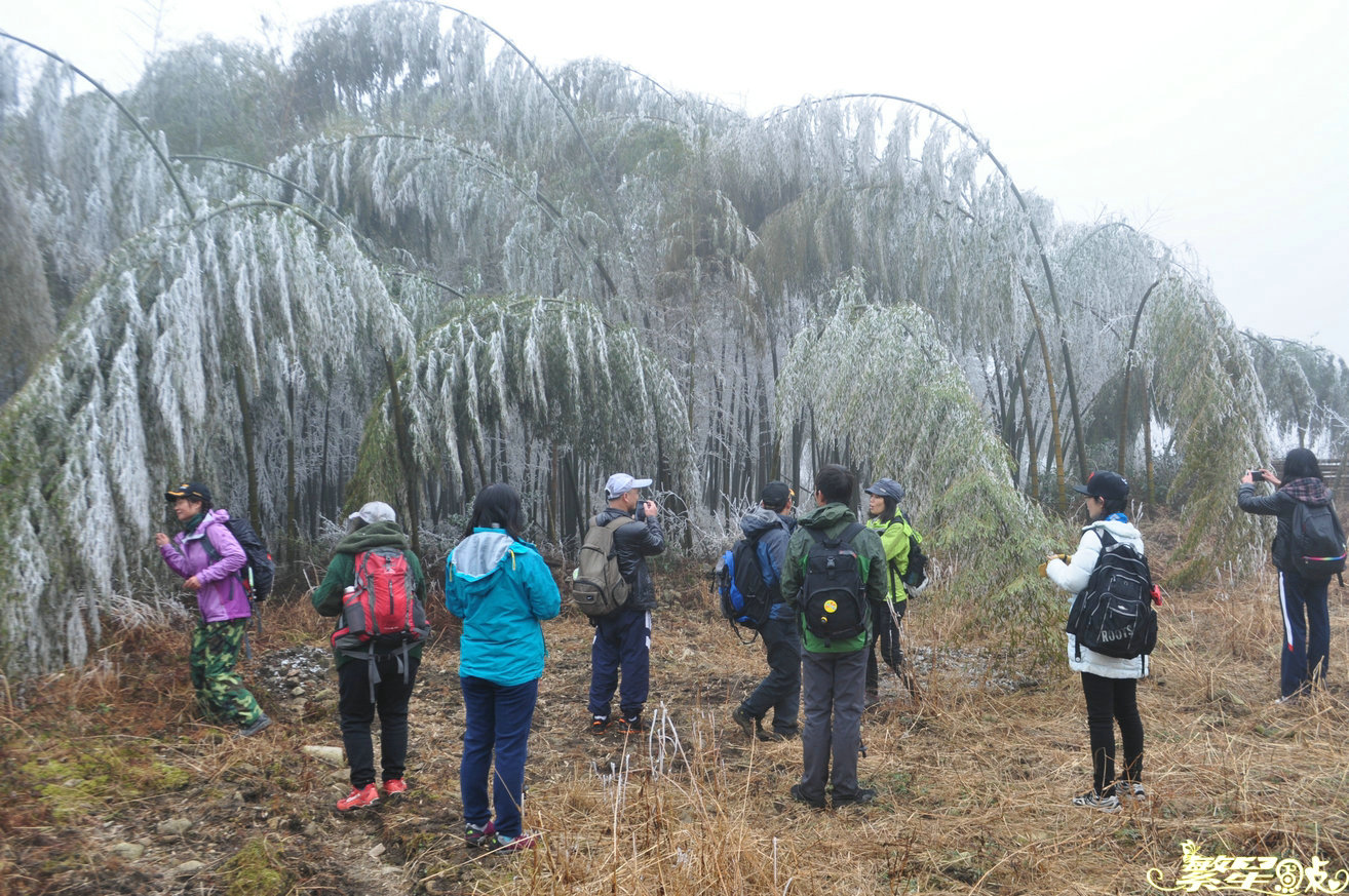 ����1 (33).jpg