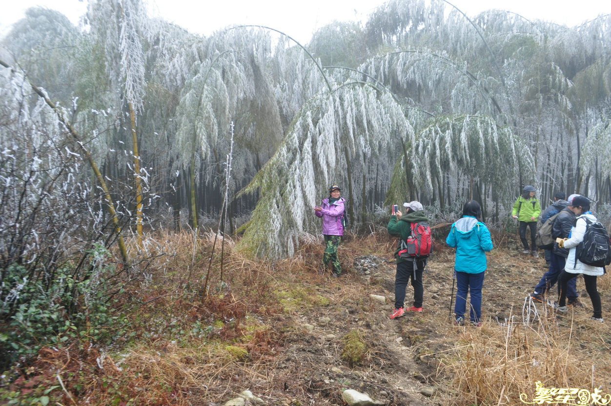 ����1 (34).jpg