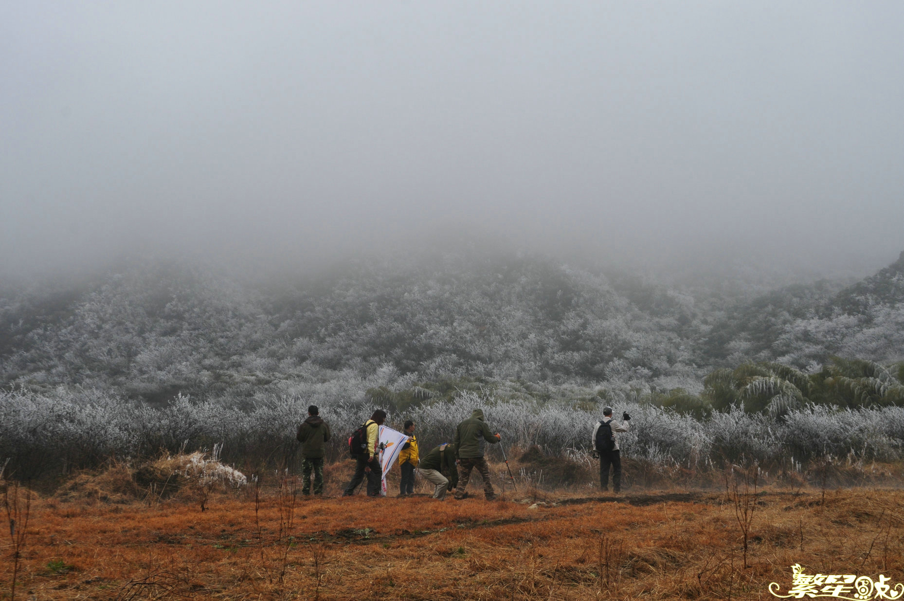 ����1 (36).jpg