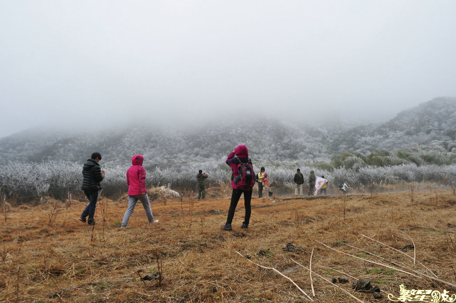 ����1 (37).jpg