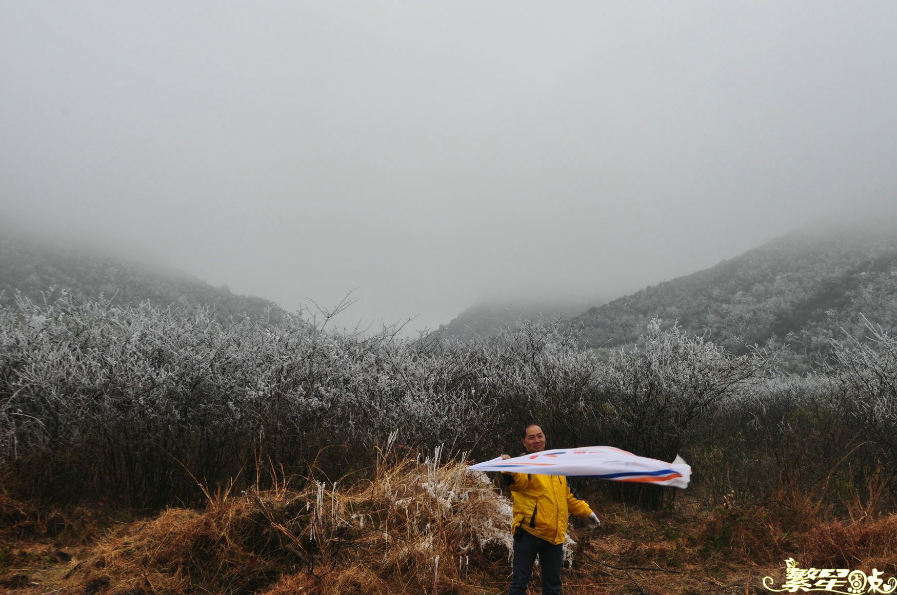 ����1 (39).jpg