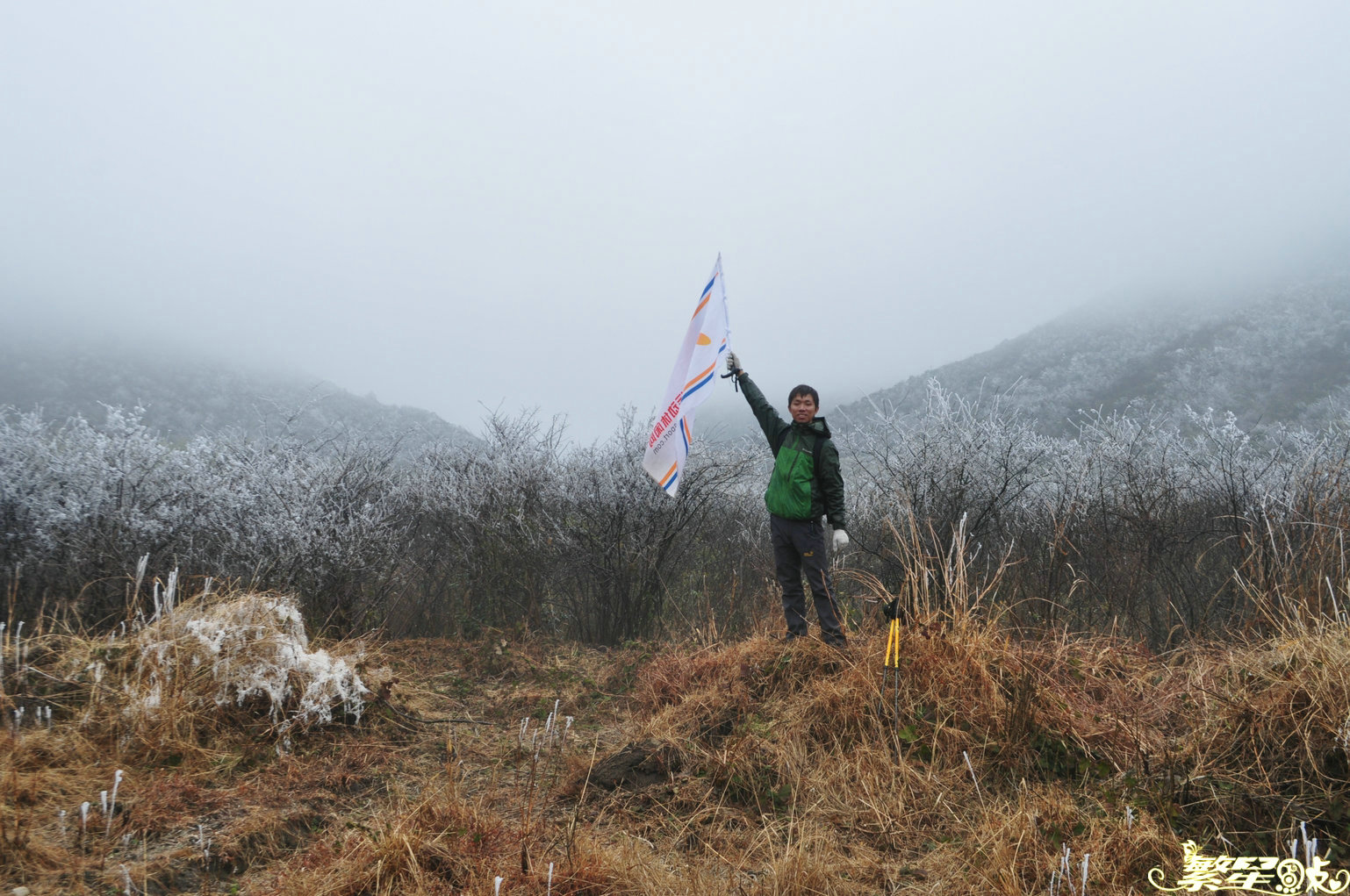 ����1 (41).jpg