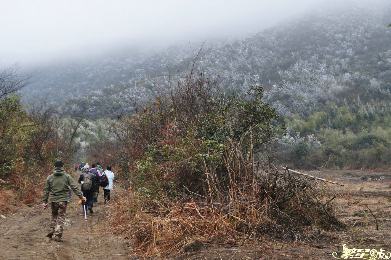 ����1 (55).jpg