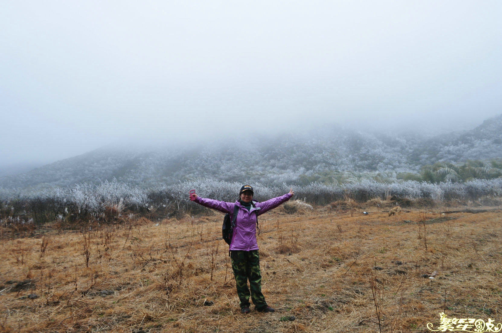 ����1 (51).jpg