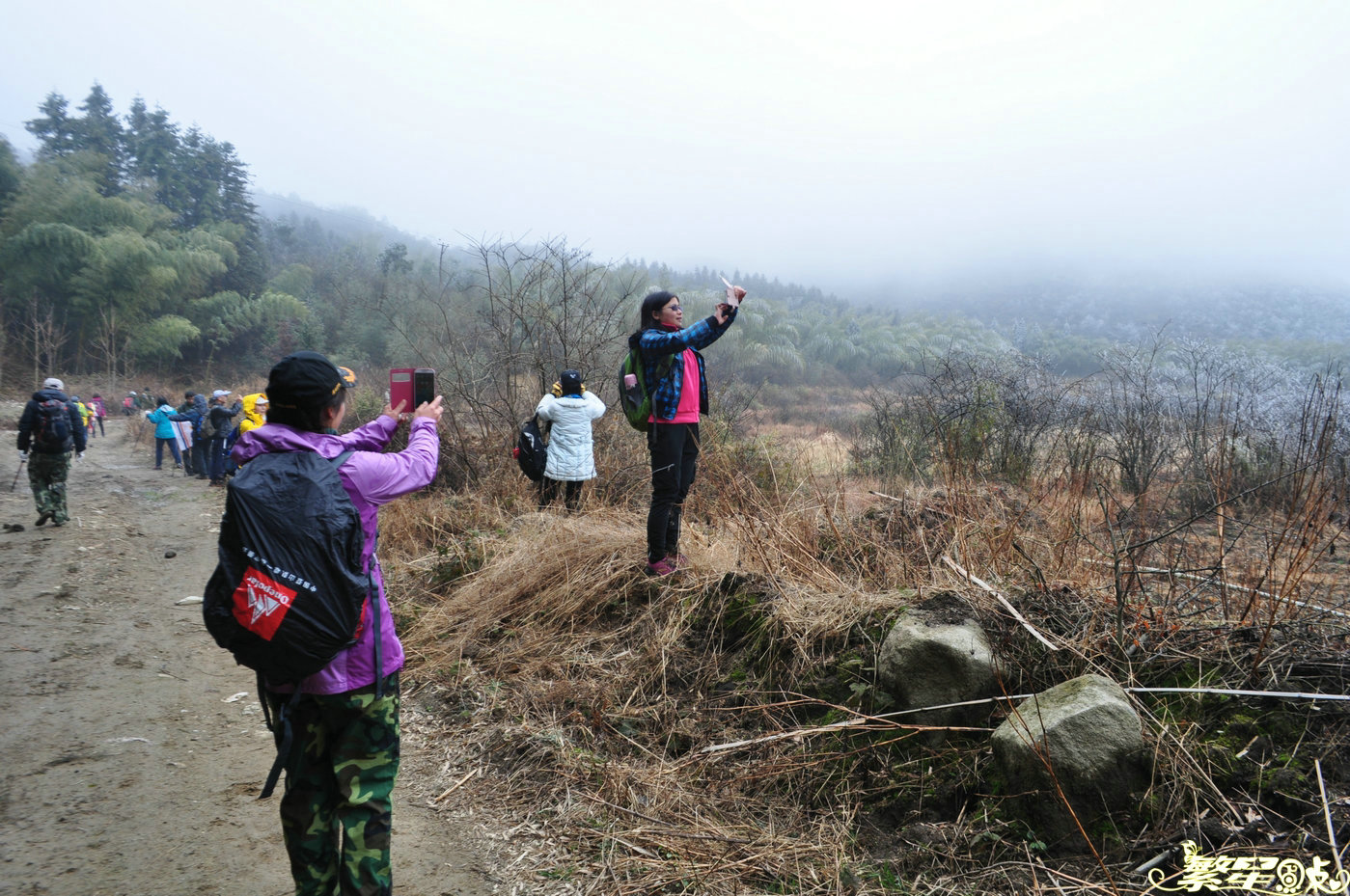 ����1 (52).jpg