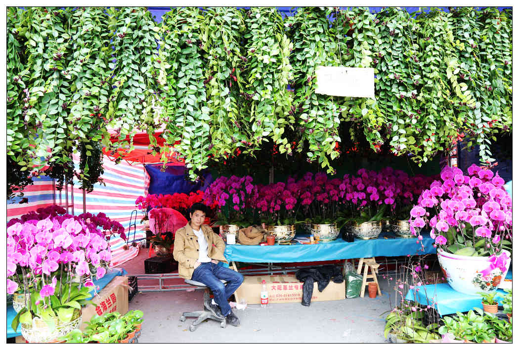 ��Ƭ 046_nEO_IMG.jpg