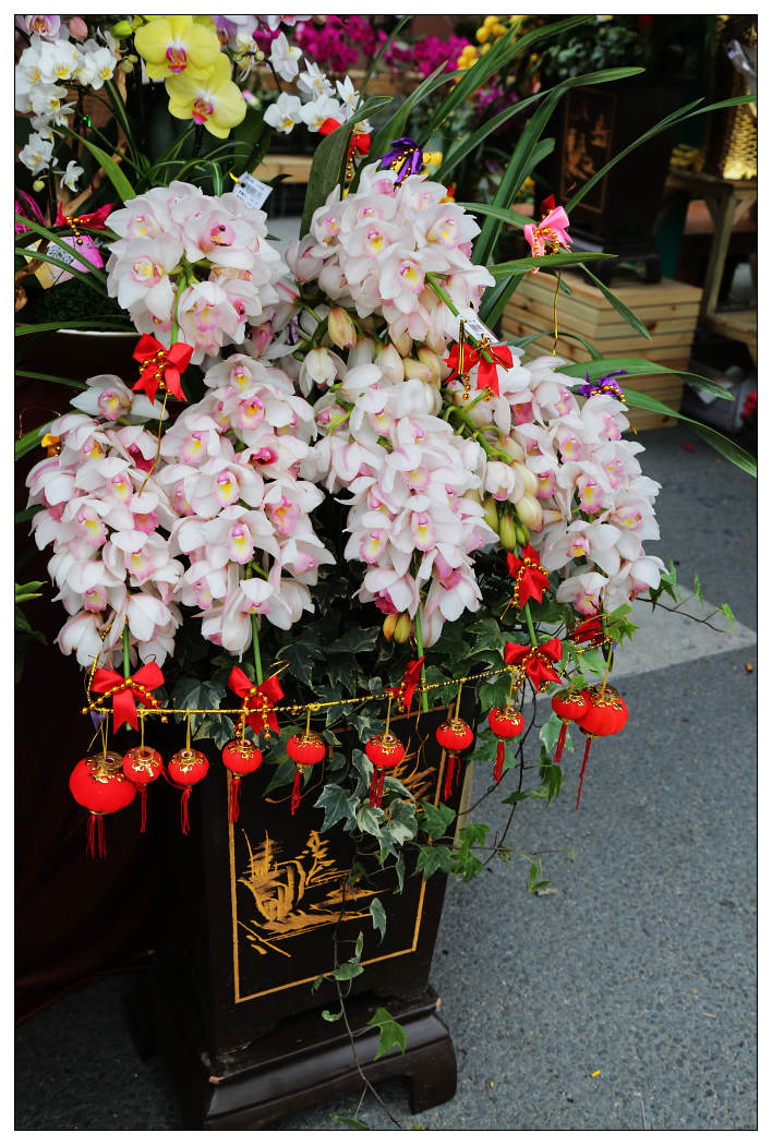 ��Ƭ 048_nEO_IMG.jpg