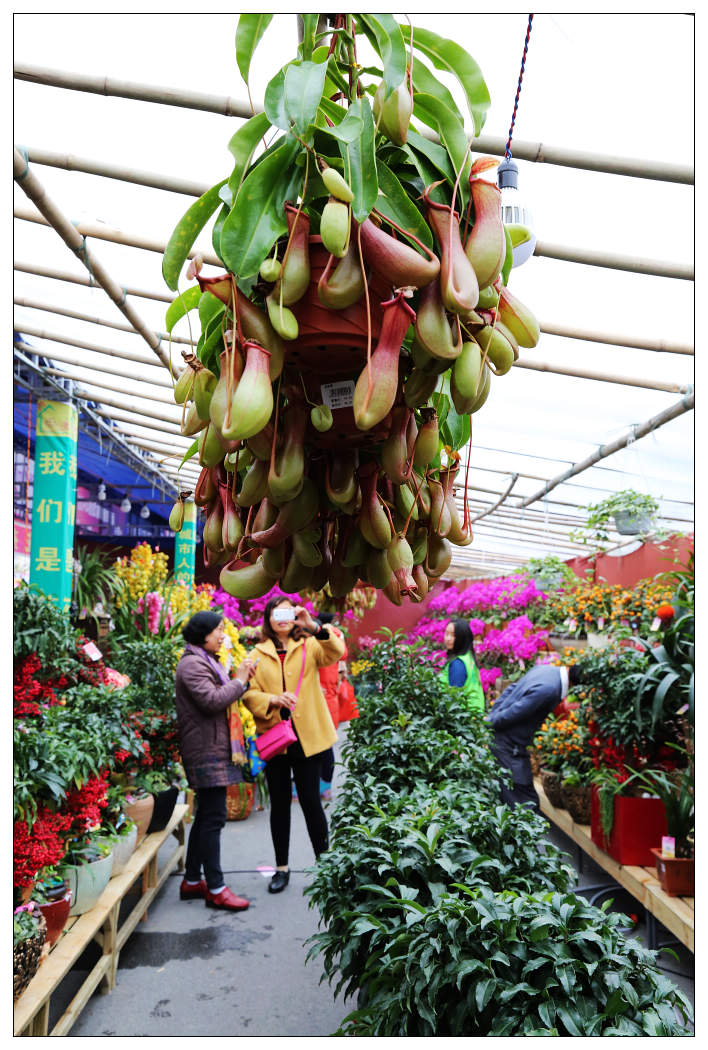 ��Ƭ 054_nEO_IMG.jpg