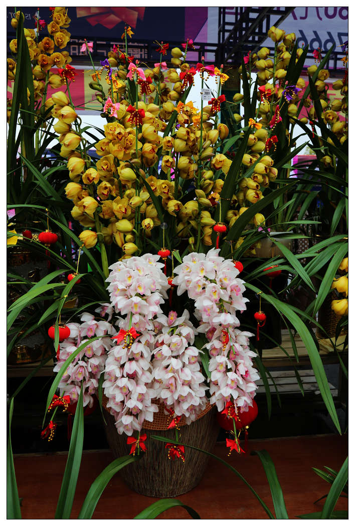 ��Ƭ 055_nEO_IMG.jpg