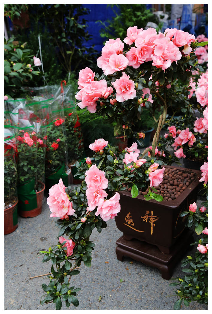 ��Ƭ 057_nEO_IMG.jpg