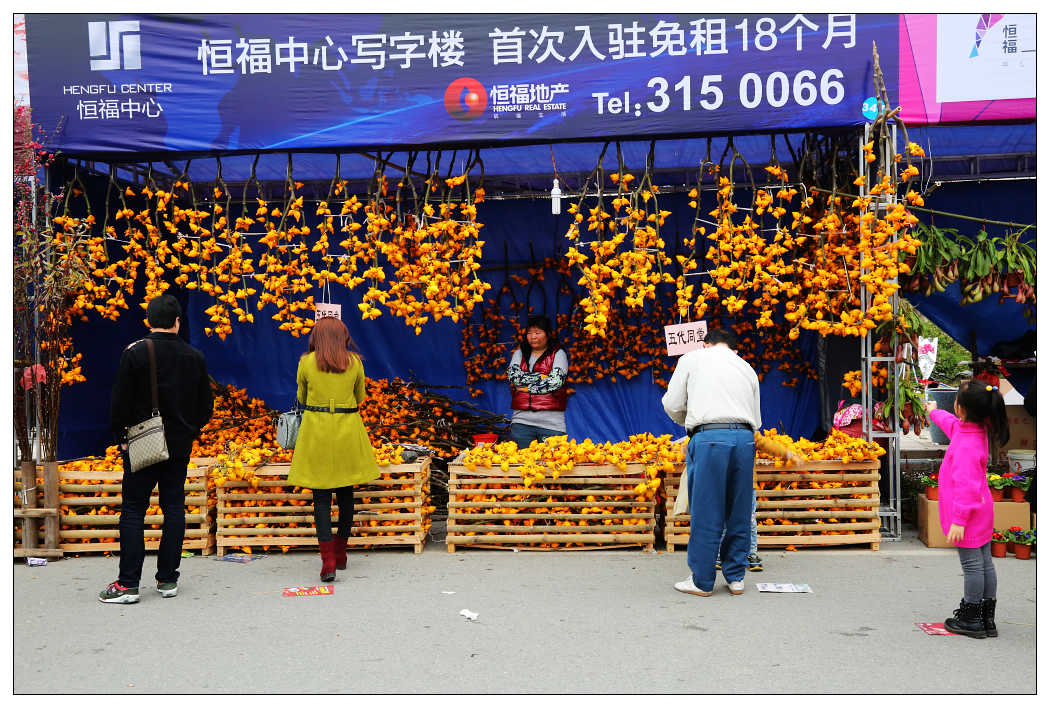 ��Ƭ 063_nEO_IMG.jpg