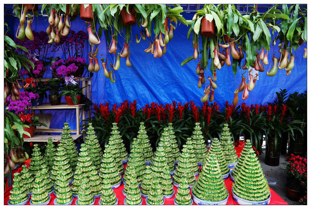 ��Ƭ 074_nEO_IMG.jpg